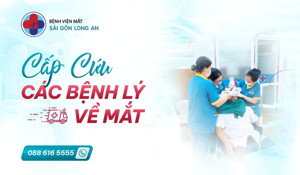 BANNER SERVICES-02